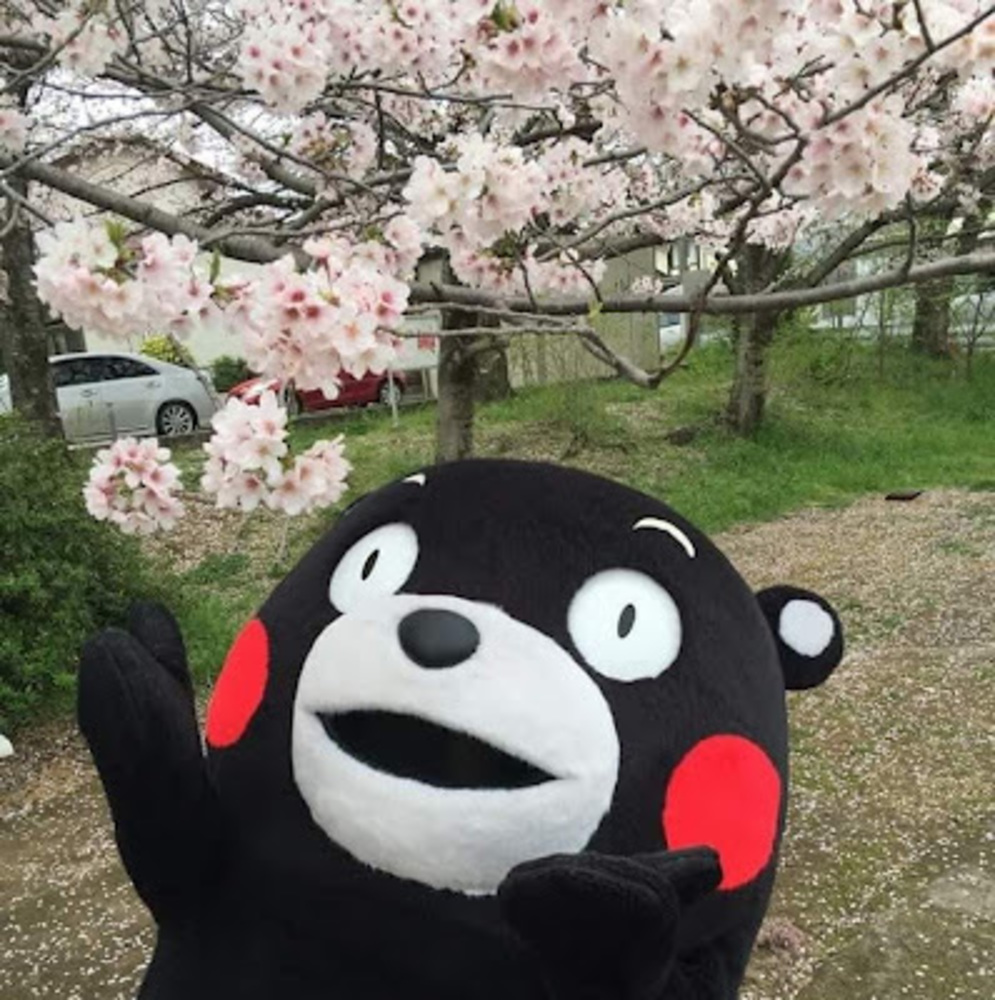 Meet your Posher, Judy